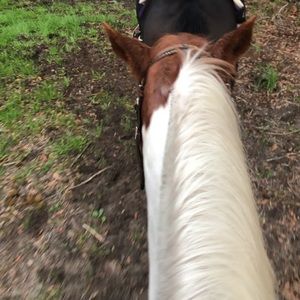 Meet your Posher, Lacey